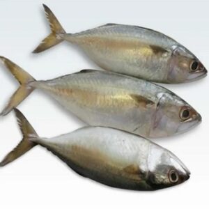 Sea Water FISH