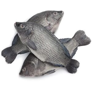 Tilapia or Jalebi