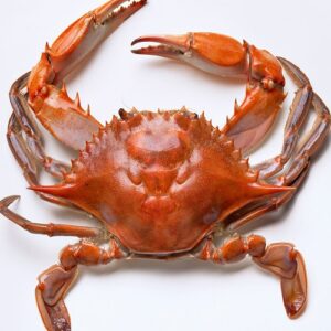 Crab